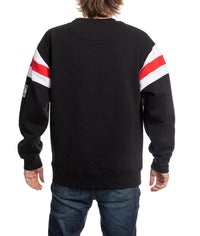 Load image into Gallery viewer, Detroit Red Wings Varsity Retro Style Crewneck Sweater

