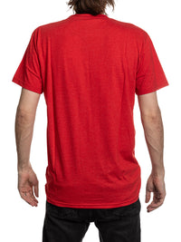 Load image into Gallery viewer, Detroit Red Wings NHL Licensed Vintage Classic Tee
