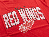 Load image into Gallery viewer, Detroit Red Wings NHL Licensed Vintage Classic Tee
