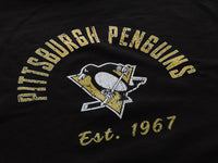 Load image into Gallery viewer, Ladies' Vintage Stripe Pittsburgh Penguins Crewneck fleece
