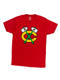 Load image into Gallery viewer, Chicago Blackhawks Short Sleeve Rashguard T Shirt - Alternate Logo
