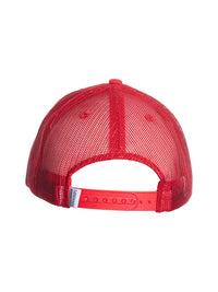Load image into Gallery viewer, NHL Detroit Red Wings Baseball hat
