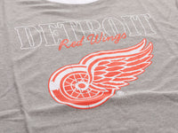 Load image into Gallery viewer, Detroit Red Wings Shoulder Stripe vintage varsity T-Shirt
