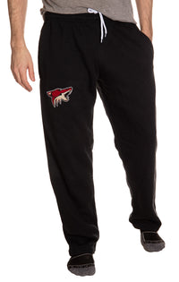 Load image into Gallery viewer, Arizona Coyotes Official NHL Sweatpants
