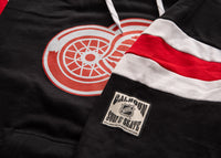 Load image into Gallery viewer, Detroit Red Wings Varsity Retro Style Hoodie
