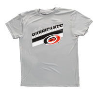 Load image into Gallery viewer, Carolina Hurricanes Men&#39;s Short Sleeve &quot;Stripes&quot; Rash Guard Wicking T-Shirt
